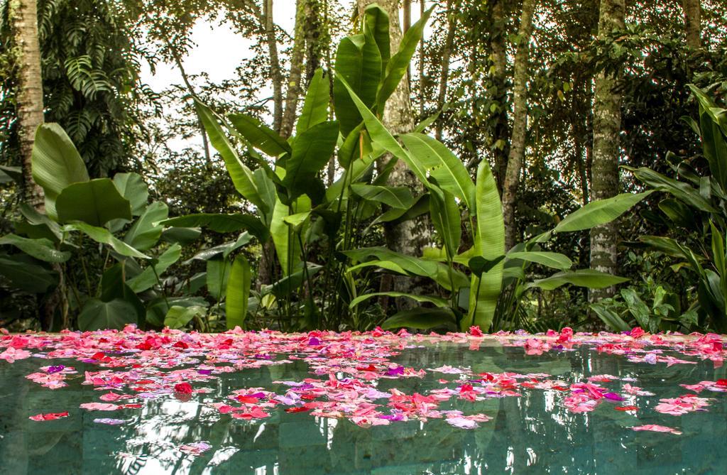 Sandat Glamping Tents Ubud Kültér fotó